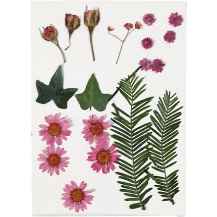 Torkade blommor och blad, ca. 19 st., ljusröd, 1 förp.