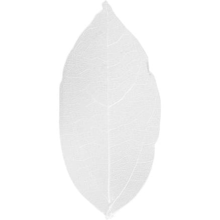 Skelettblad, L: 6-8 cm, vit, 20 st./ 1 förp.