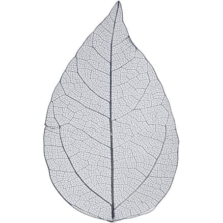 Skelettblad, L: 6-8 cm, blå, 20 st./ 1 förp.