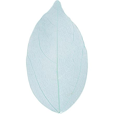 Skelettblad, L: 6-8 cm, ljusblå, 20 st./ 1 förp.