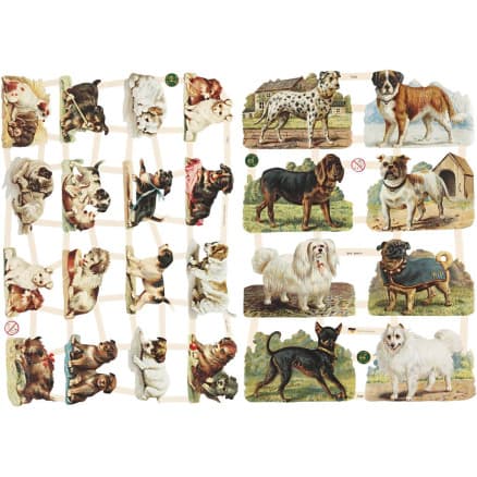 Glansiga bilder, hundar, ark 16,5x23,5 cm, 2 ark/1 frp.