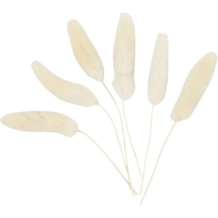 Hare, svans, L: 3-7 cm, 6 st / 1 frp.