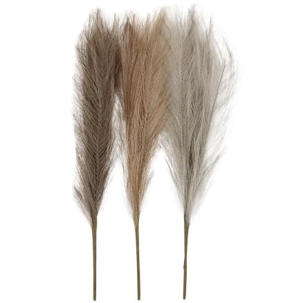 Pampasgräs, L: 50 cm, Ljus pulver, Ljus brun, Ljus grå, 3st/1 bt.