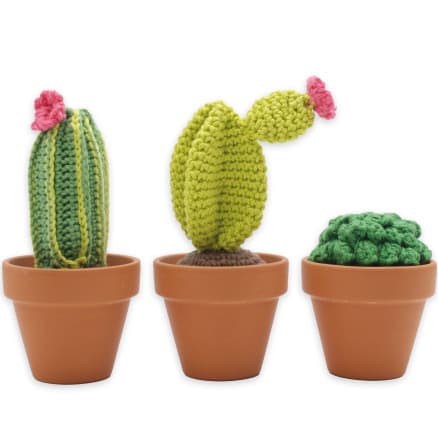 Gör det själv/DIY set Cacti Virkning