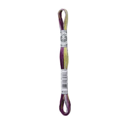 DMC Mouliné Broderigarn Färger 4503 Iris Bouquet