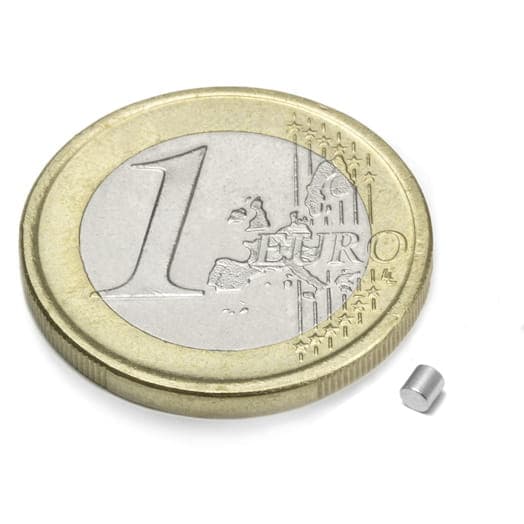 Skivmagnet 2x2 mm