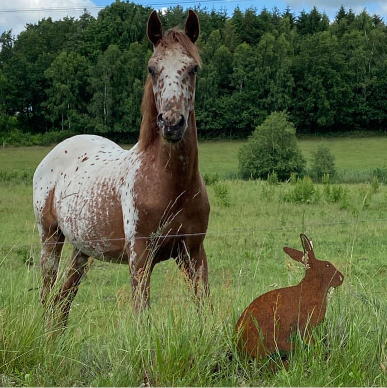 Figur i Jern Hare til Havedekoration fra by Brorson
