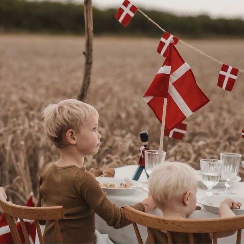 Dannebrogsflag og Hurraflag på Træpind 60 cm fra by Brorson