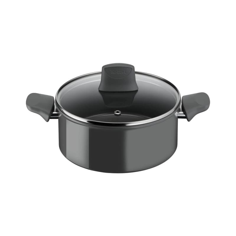 Tefal Renewal Ø20 Gryde
