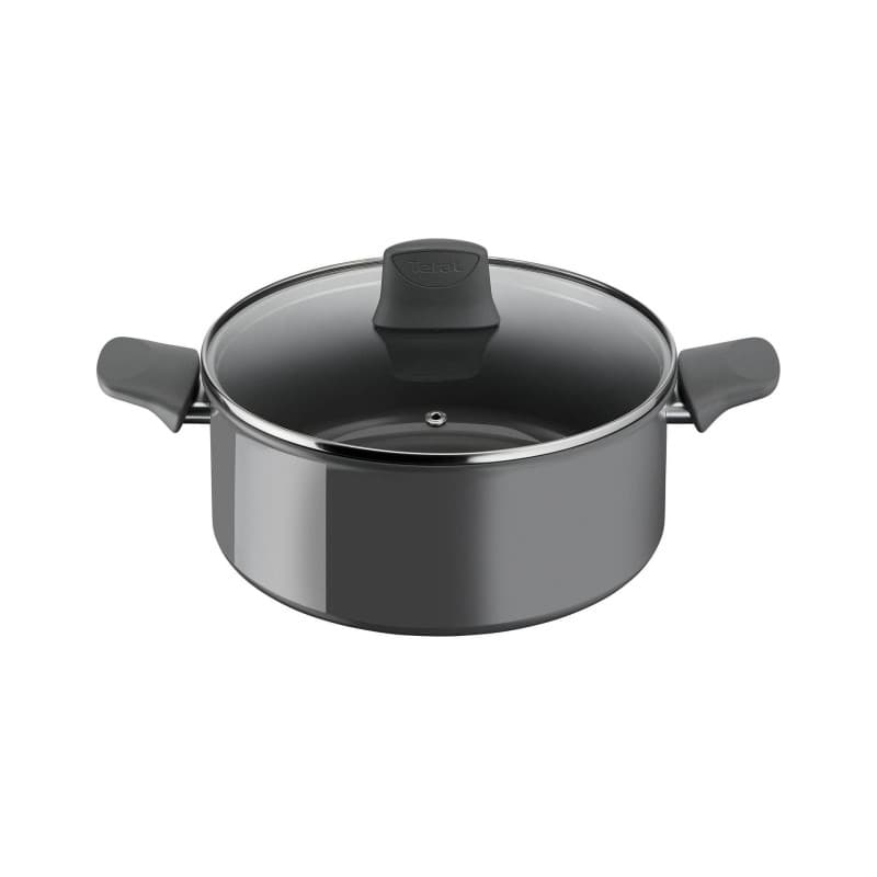 Tefal Renewal Ø24 Gryde