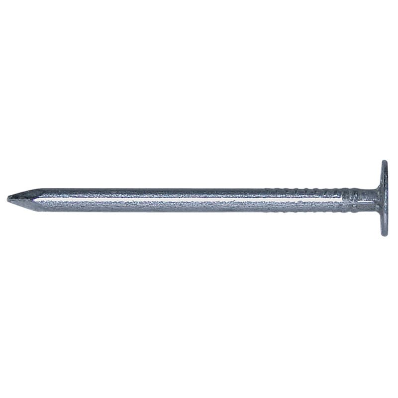 Fischer Papsøm - 561598