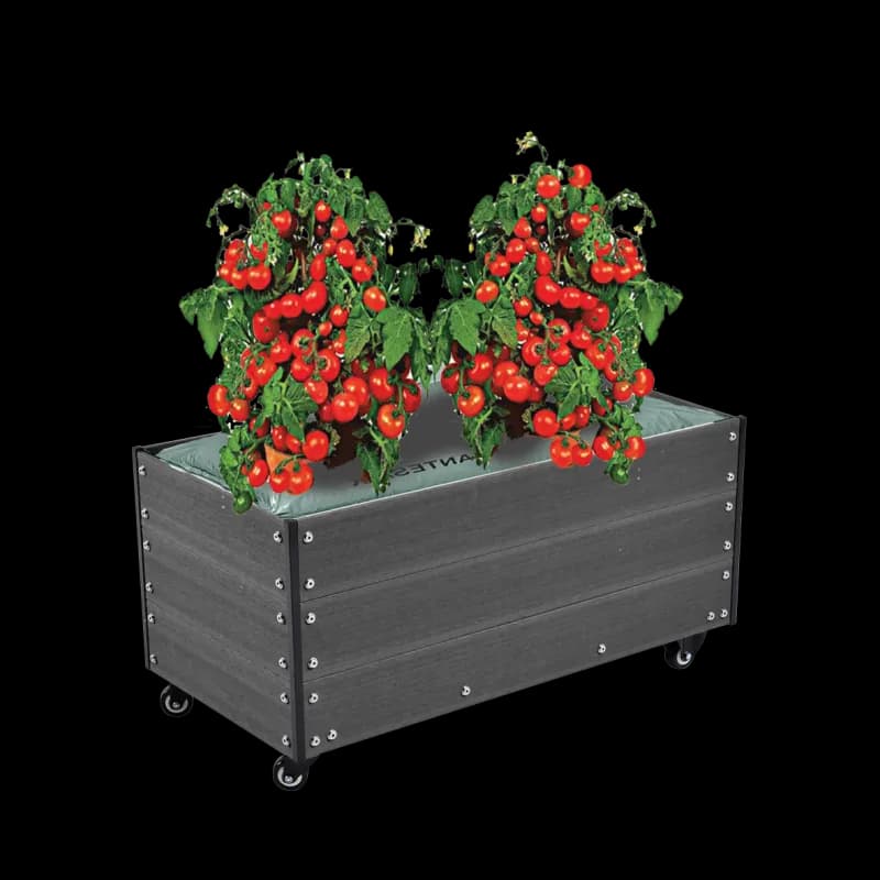 Hortus Kapil�rskjuler Wpc 36x50x90 Cm Med Hjul