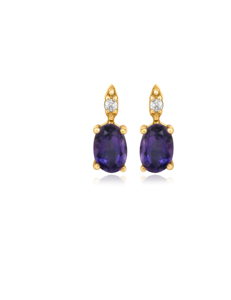Jeweltime 14kt Guld ørestikker - Jeweltime smykker