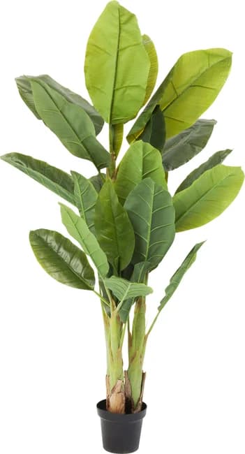 KARE DESIGN Banana Tree konstgjord växt - grön etylenvinylacetat och polyeten (H:180cm)