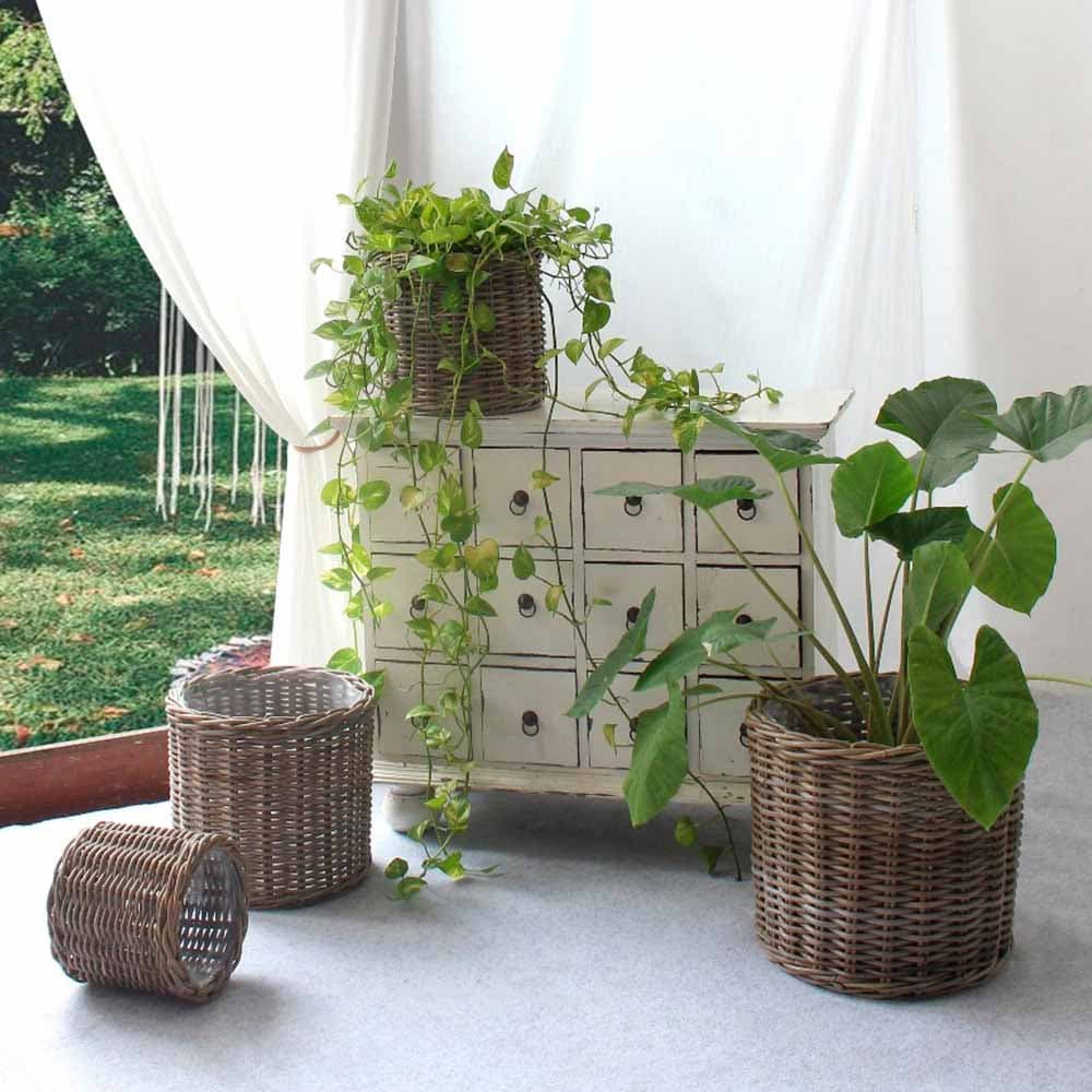 HOUSE NORDIC Bogor korg - natur kub, rund (set / 4 st.)