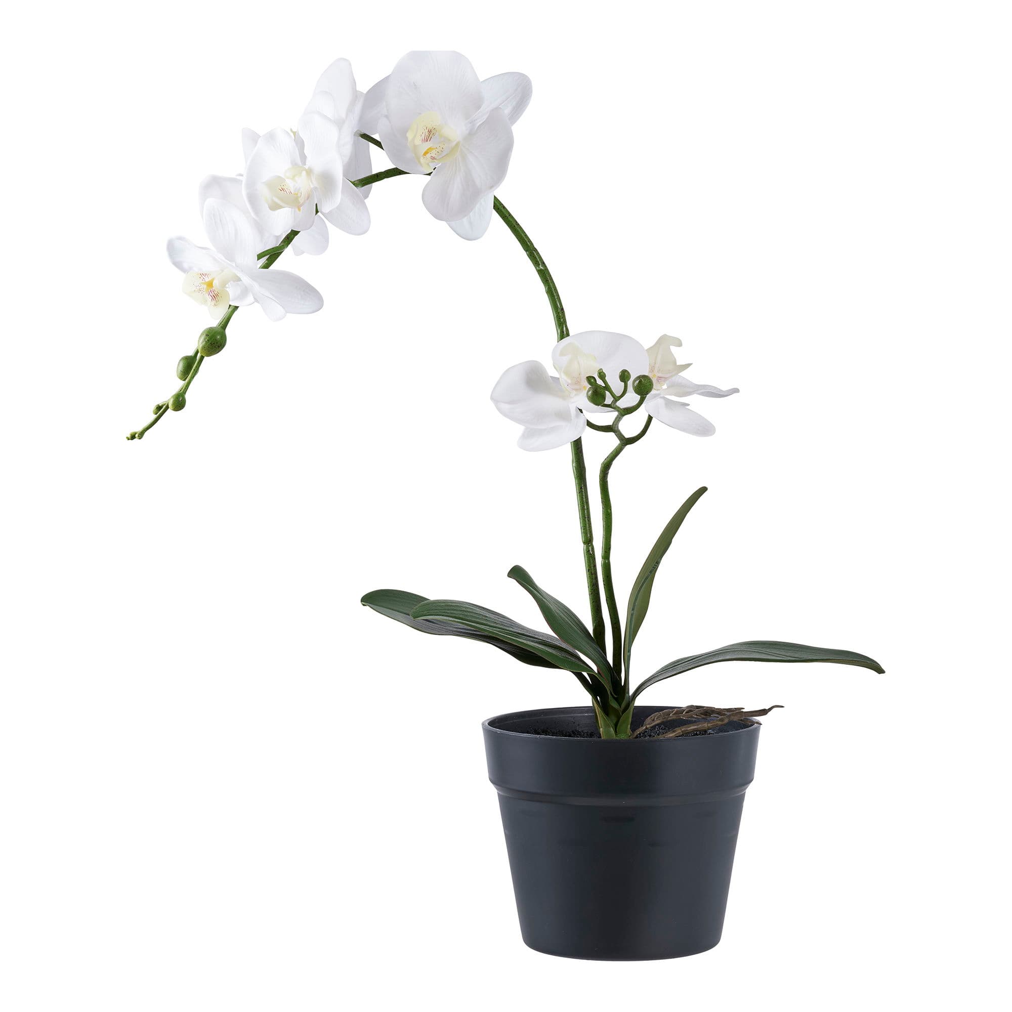 HOUSE NORDIC Konstgjord orkidéväxt - vit och grön PE-plast (H:49cm)