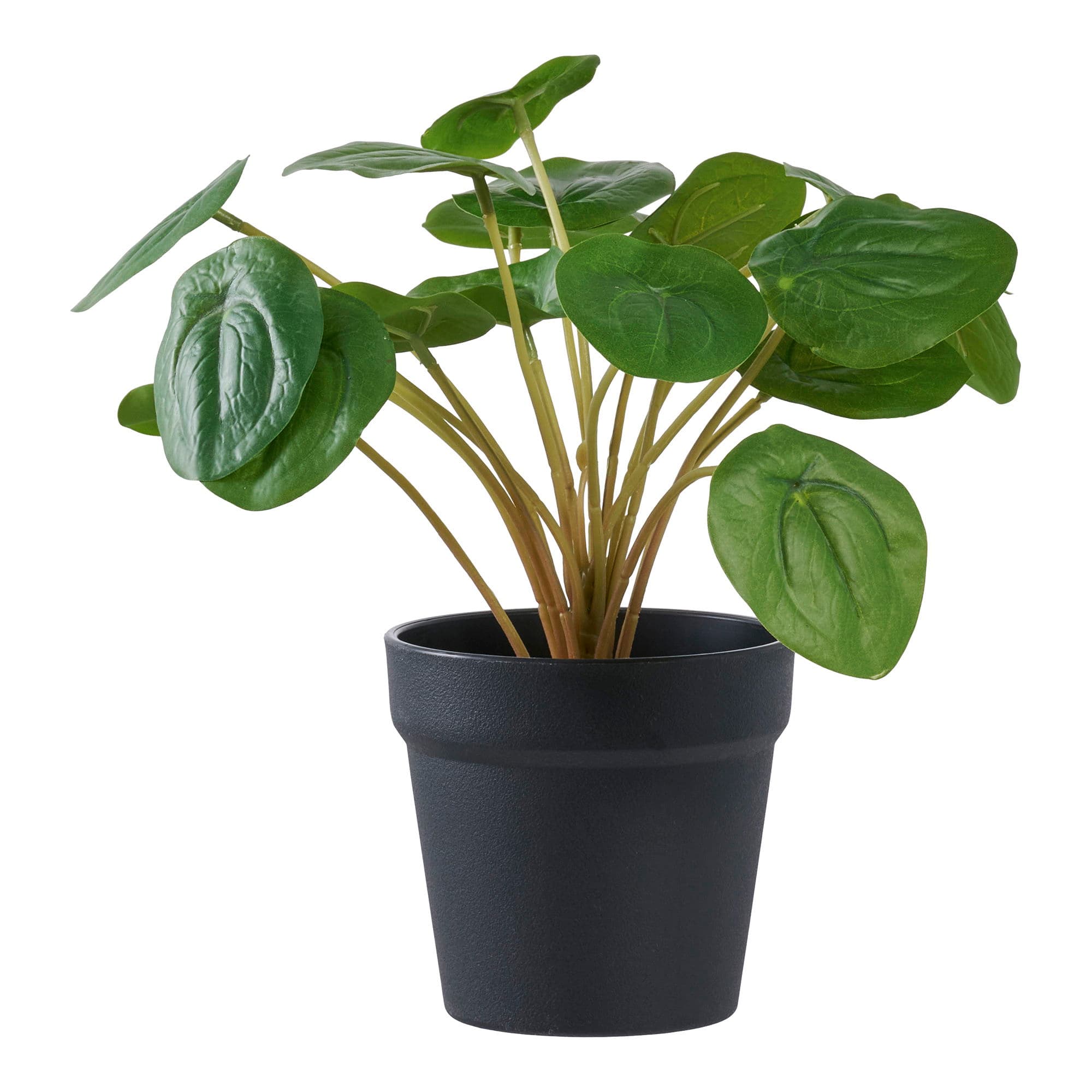 HOUSE NORDIC Pelia konstgjord växt - grön PE-plast (H:28cm)