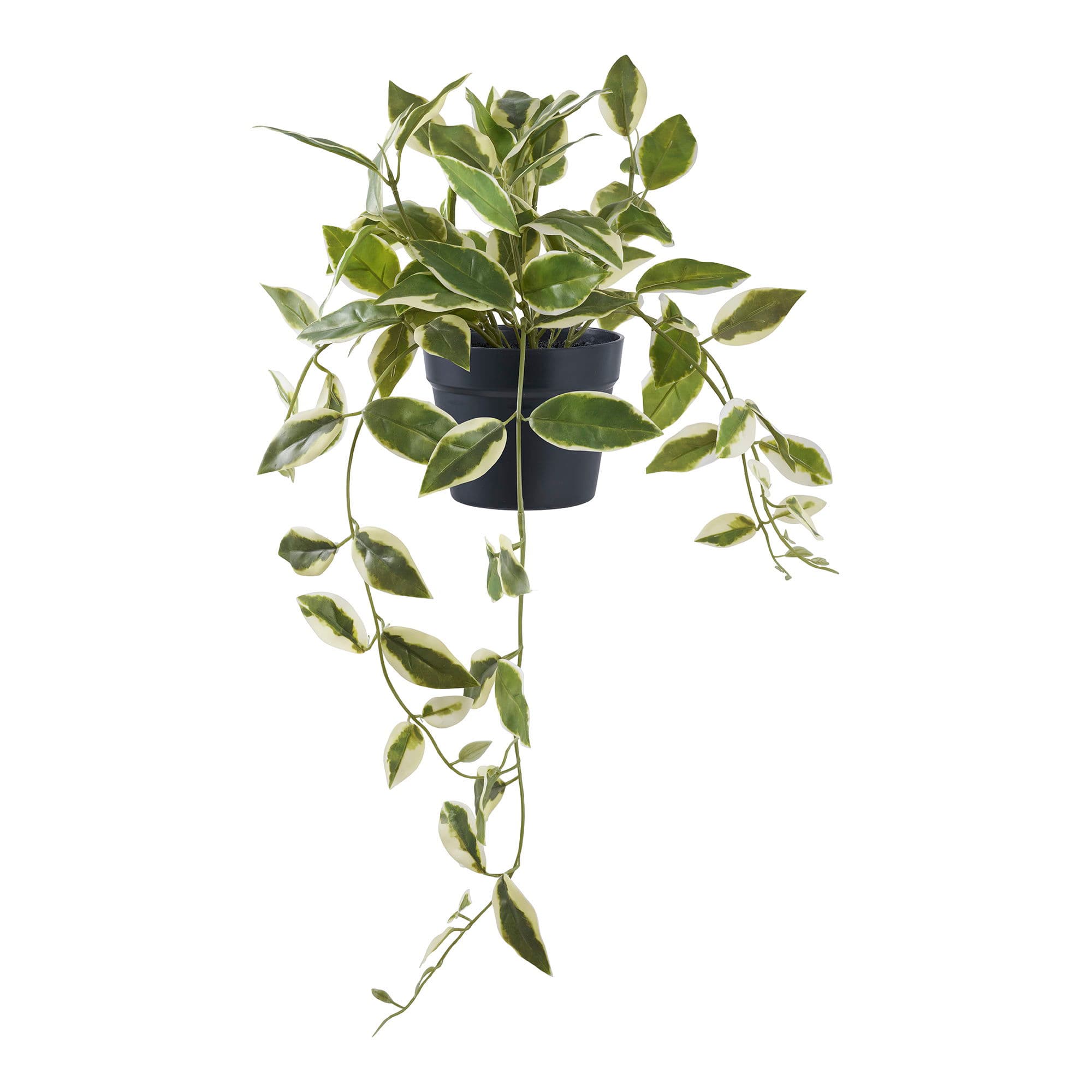 HOUSE NORDIC Konstgjord vaxblomma - grön PE-plast (H:33cm)