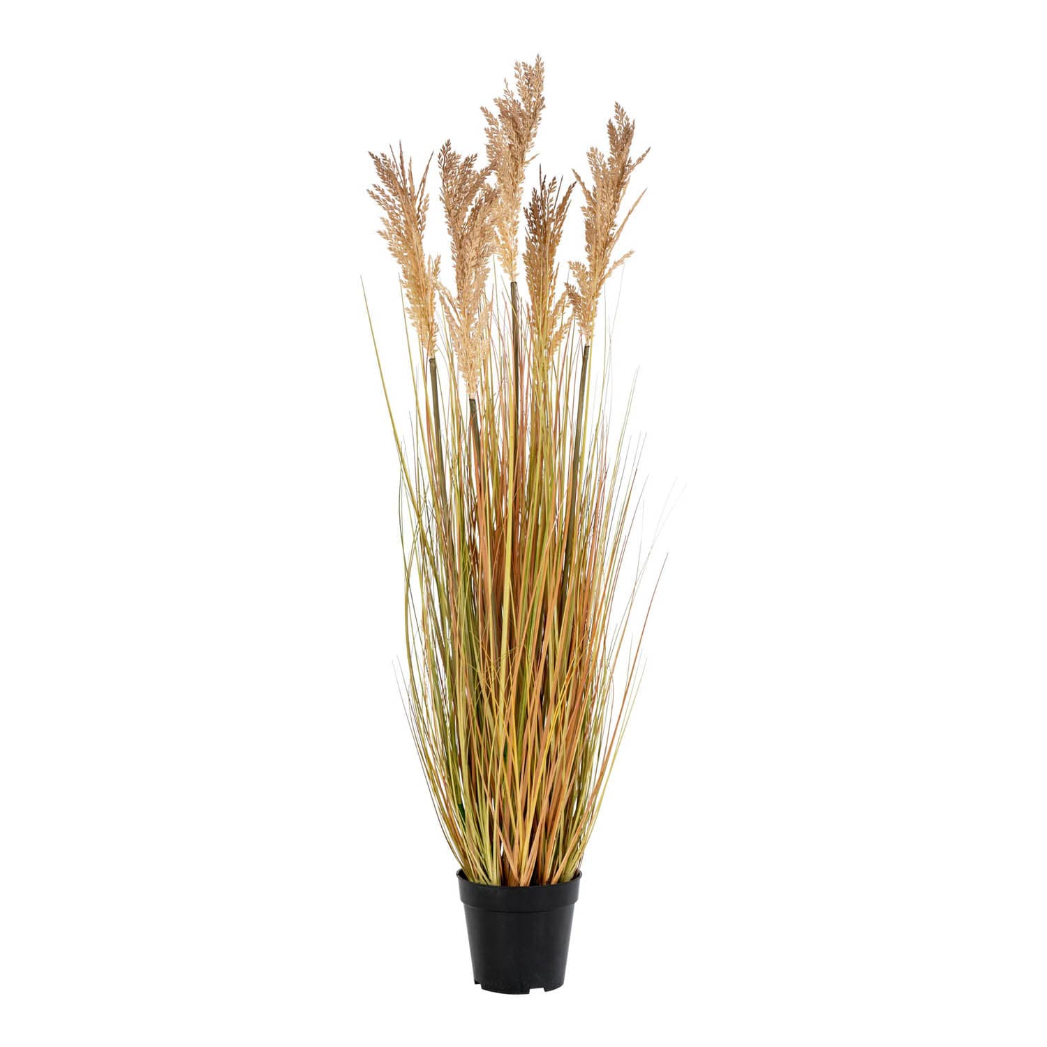 HOUSE NORDIC Sorghum Grass konstgjord växt - naturlig PE-plast (H: 110)