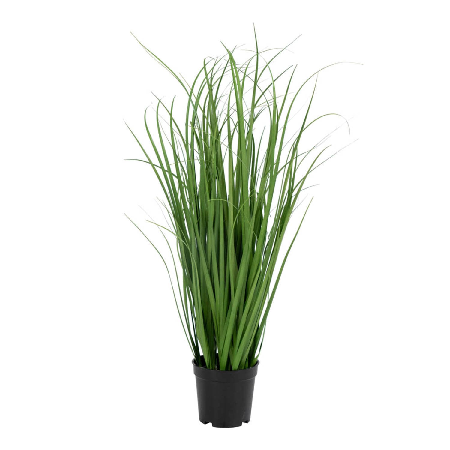 HOUSE NORDIC Poa Grass konstgjord växt - grön PE-plast (H: 68)