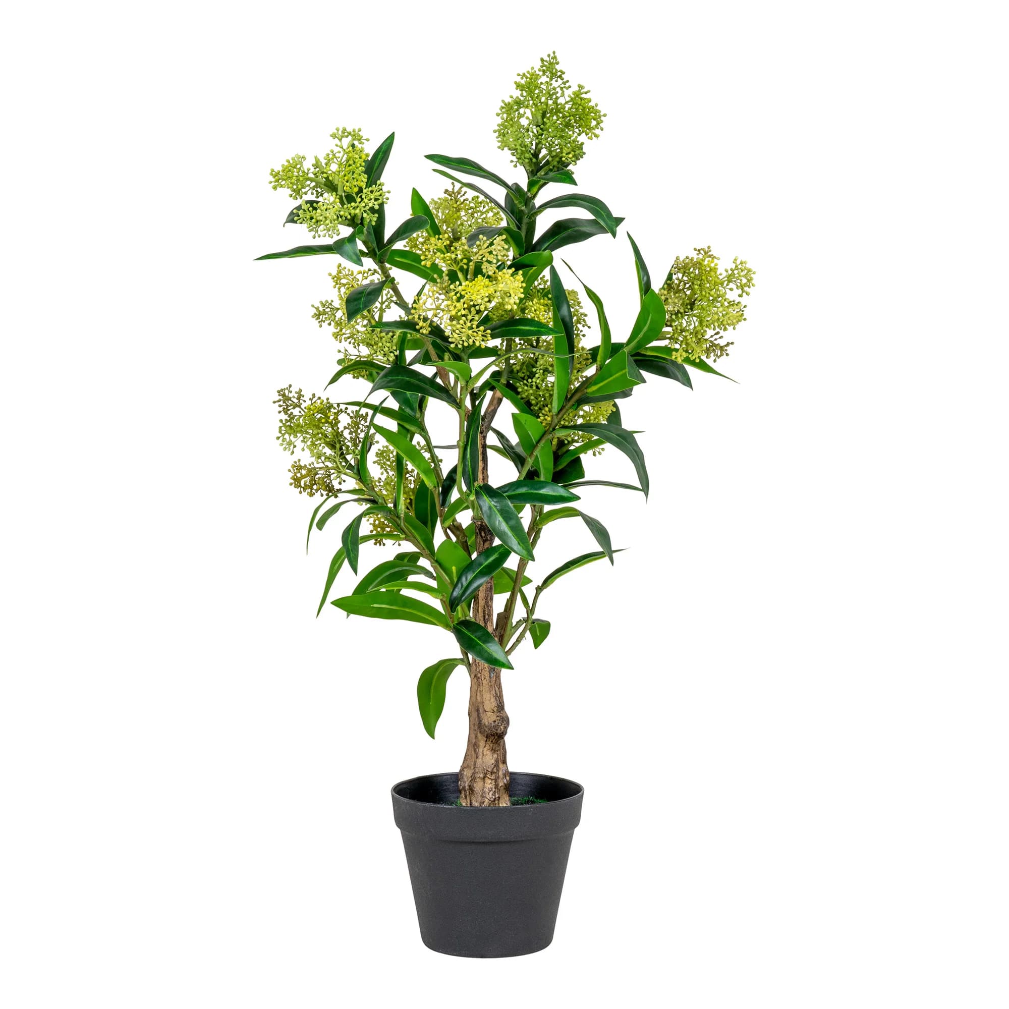 HOUSE NORDIC artificiell Skimmia Trädväxt - grön plast (H:75)