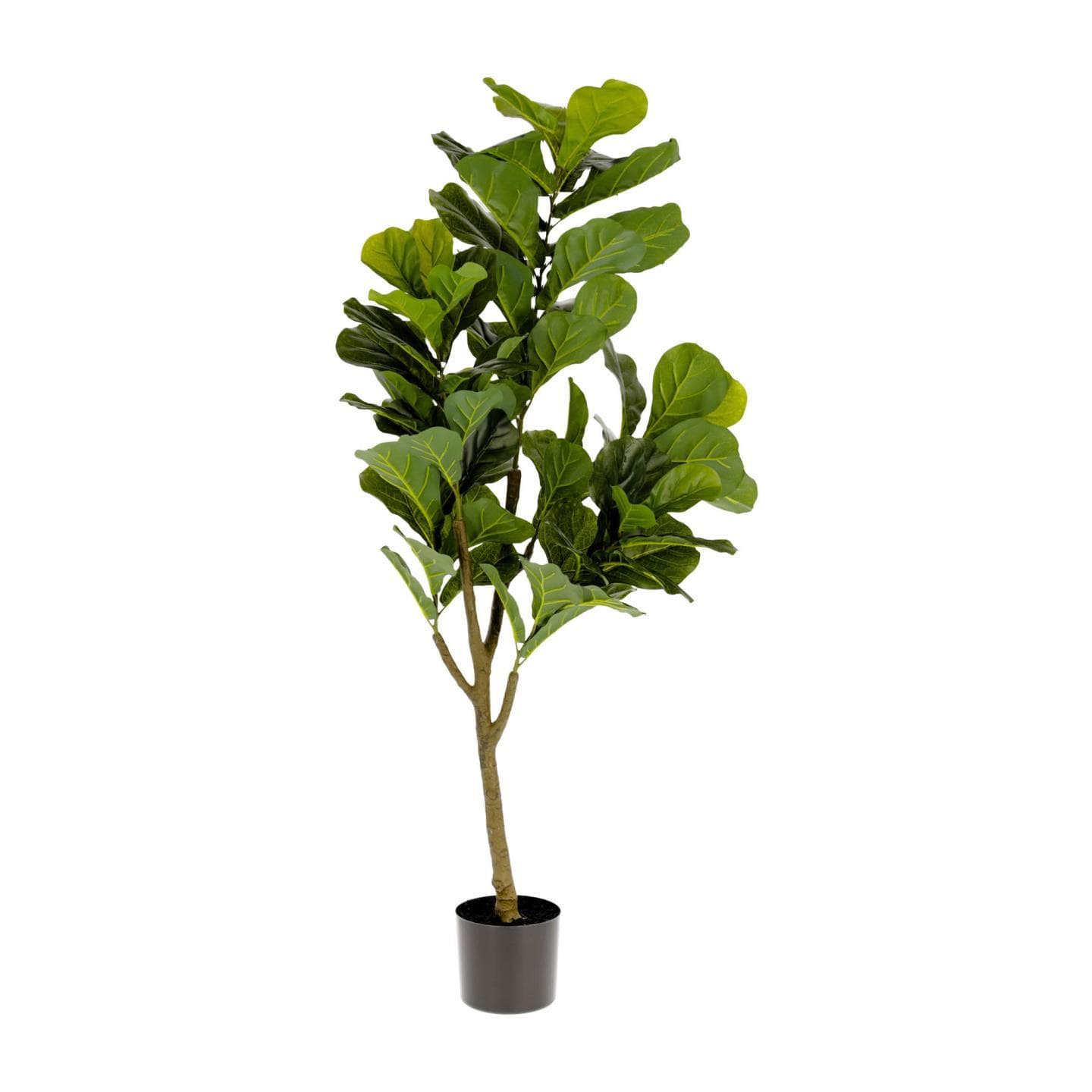 KAVE HOME Ficus konstgjord växt - grön polyeten (H:150)