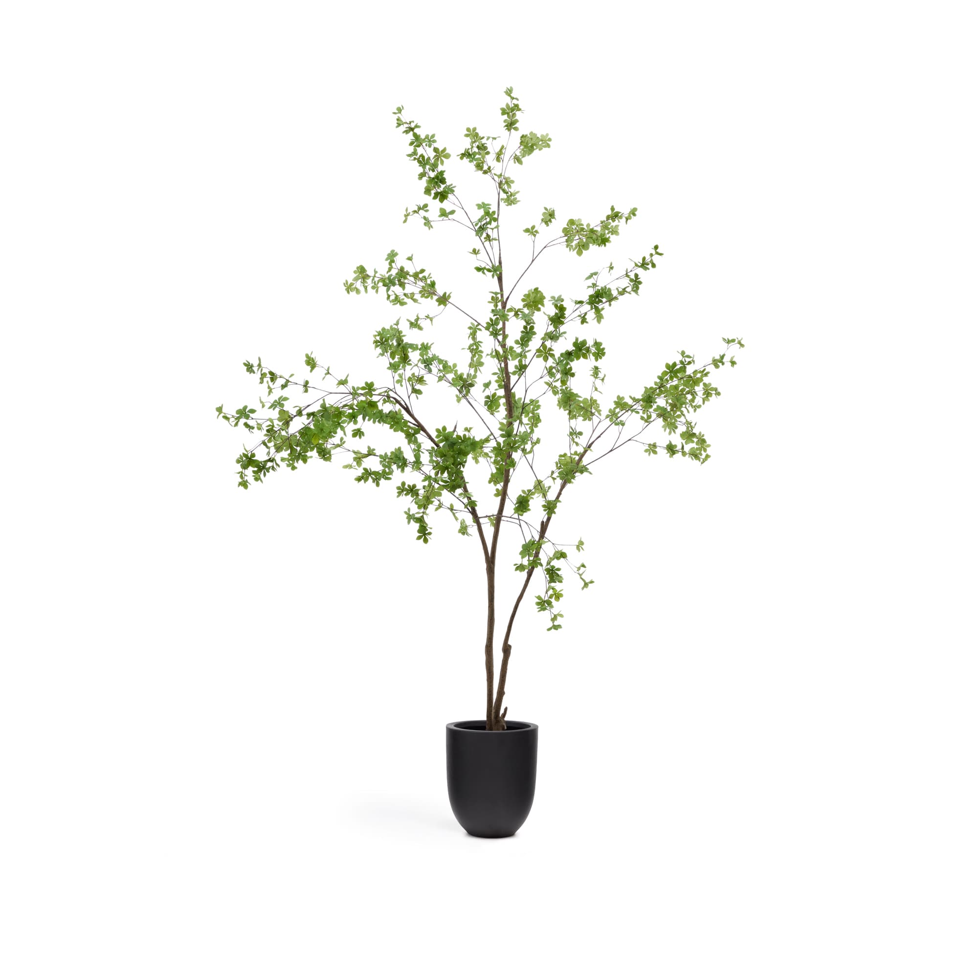 KAVE HOME Enkianthus konstgjord träd med svart kruka 214 cm