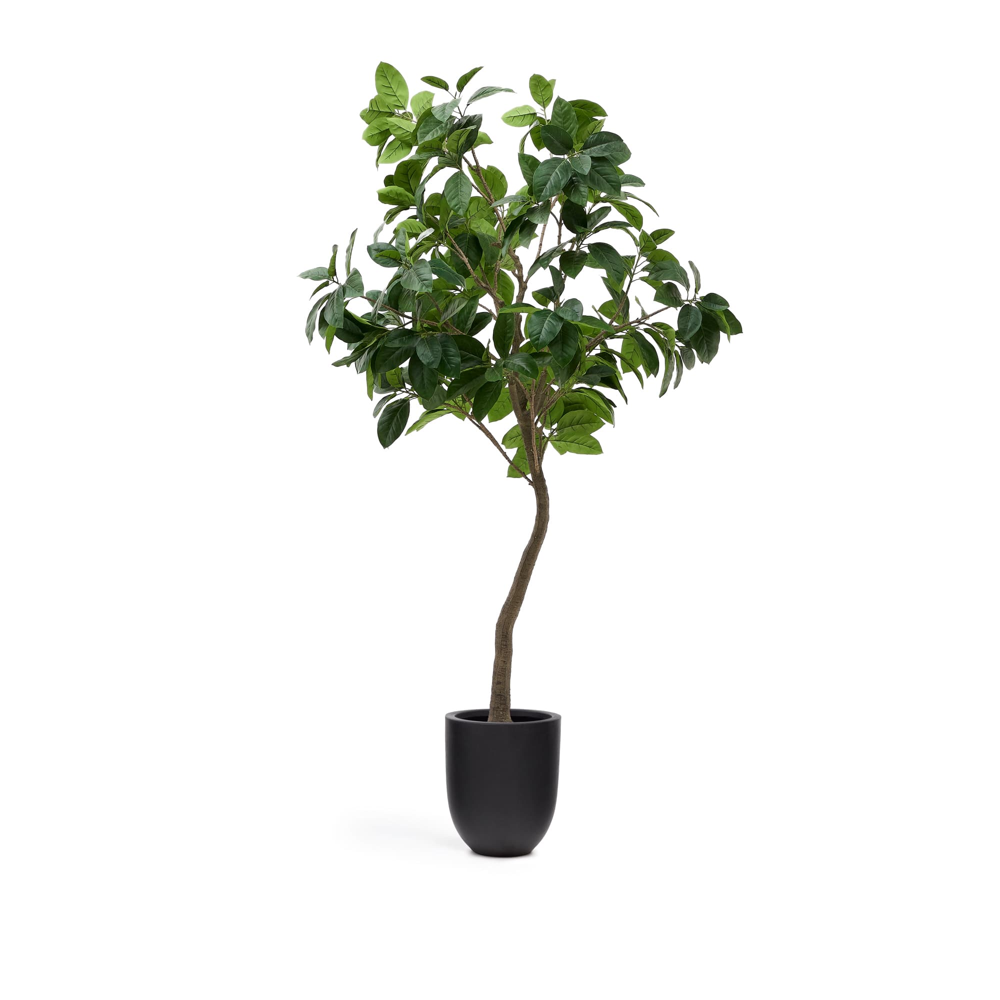 KAVE HOME Konstgjord fikus i svart kruka 210 cm
