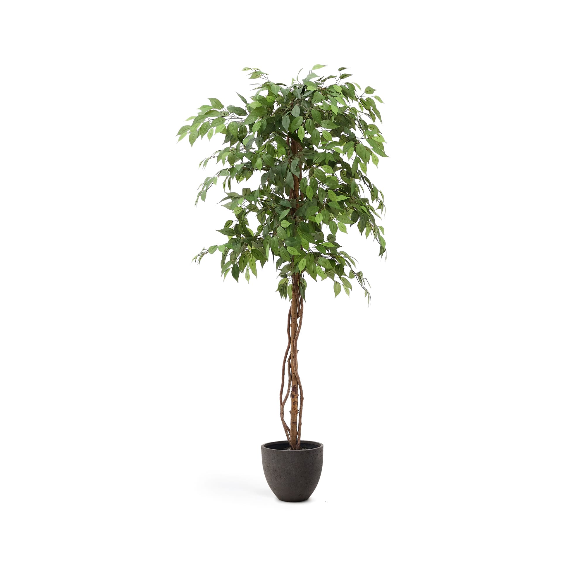 KAVE HOME Konstgjord fikus i svart kruka 180 cm
