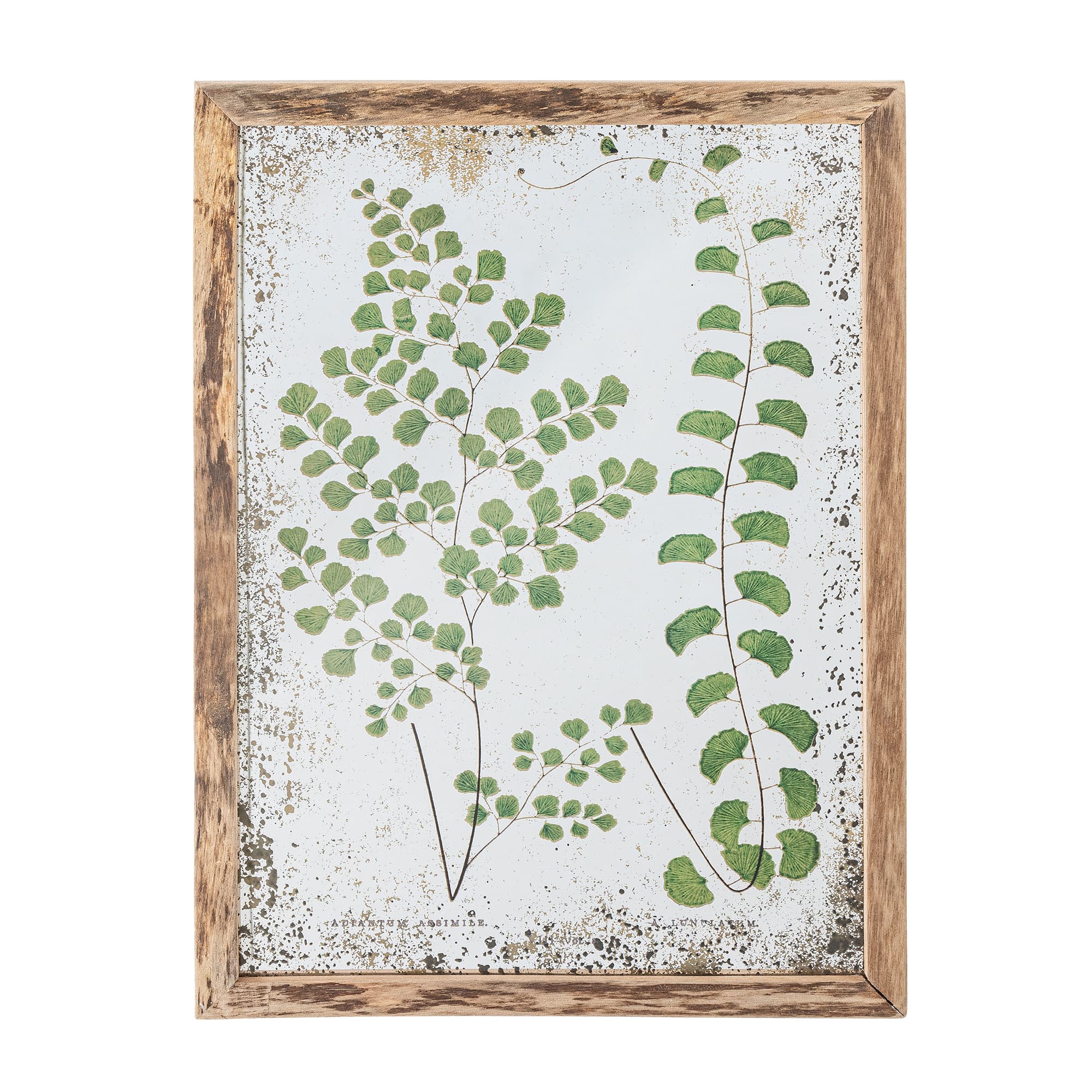 KREATIV KOLLEKTION Tippvagnsillustration med ram, Natur, Tall