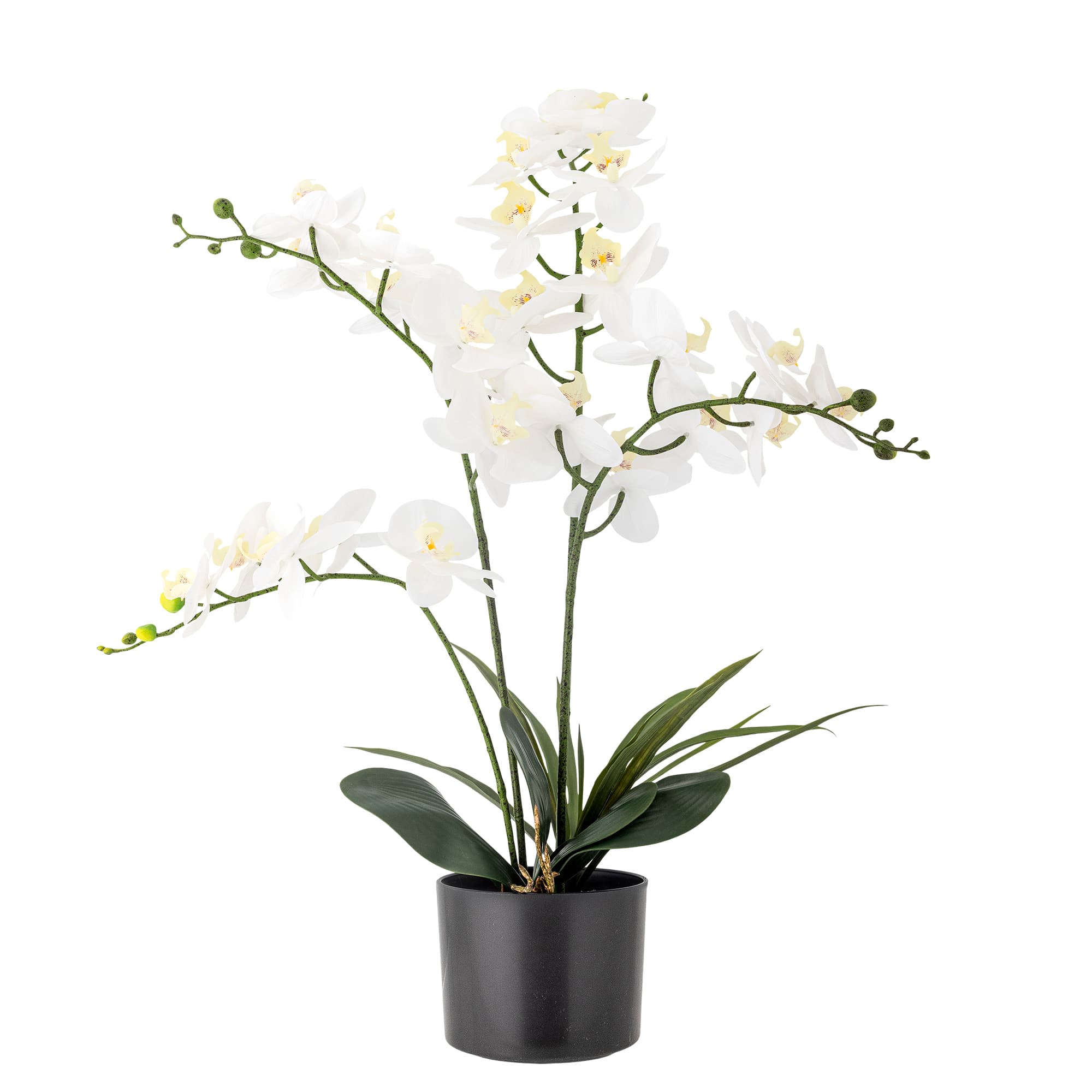 BLOOMINGVILLE Orchid Artificiell växt - Vit och grön plast