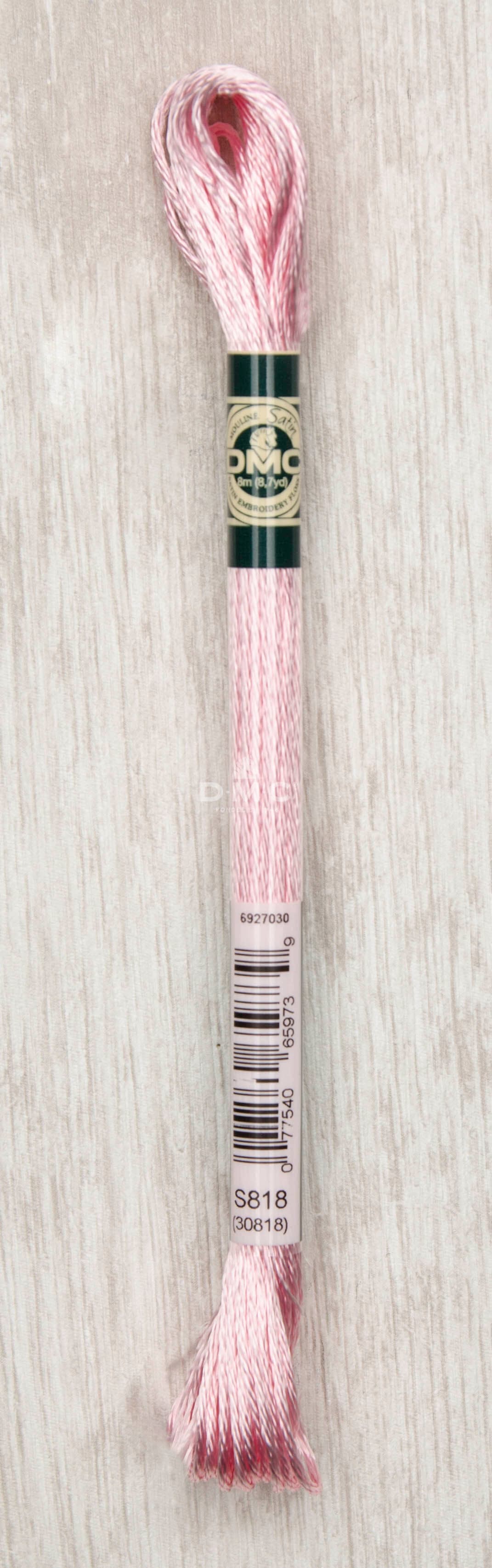 Dmc Mouliné Satin Floss Broderigarn Färg S818