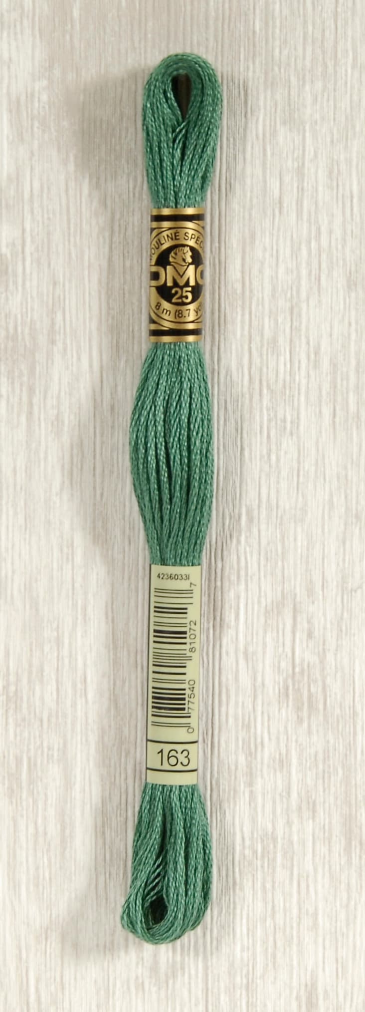 DMC Mouliné Spécial 25 Broderigarn - Färg 163