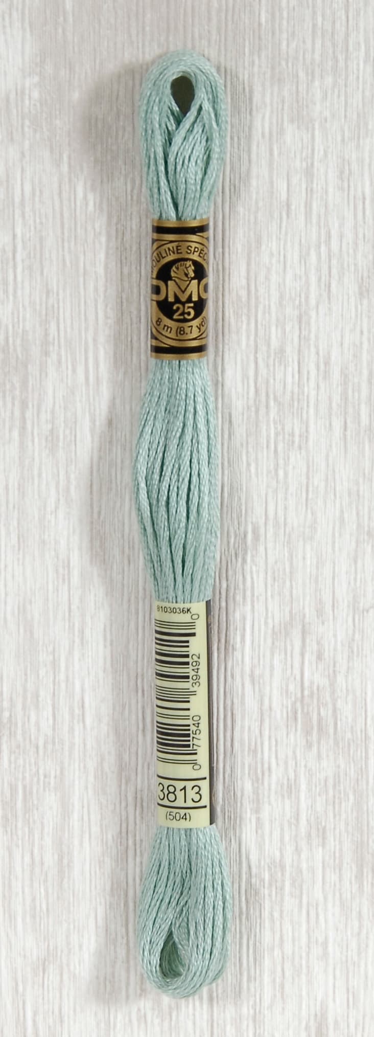 DMC Mouliné Spécial 25 Broderigarn - Färg 3813
