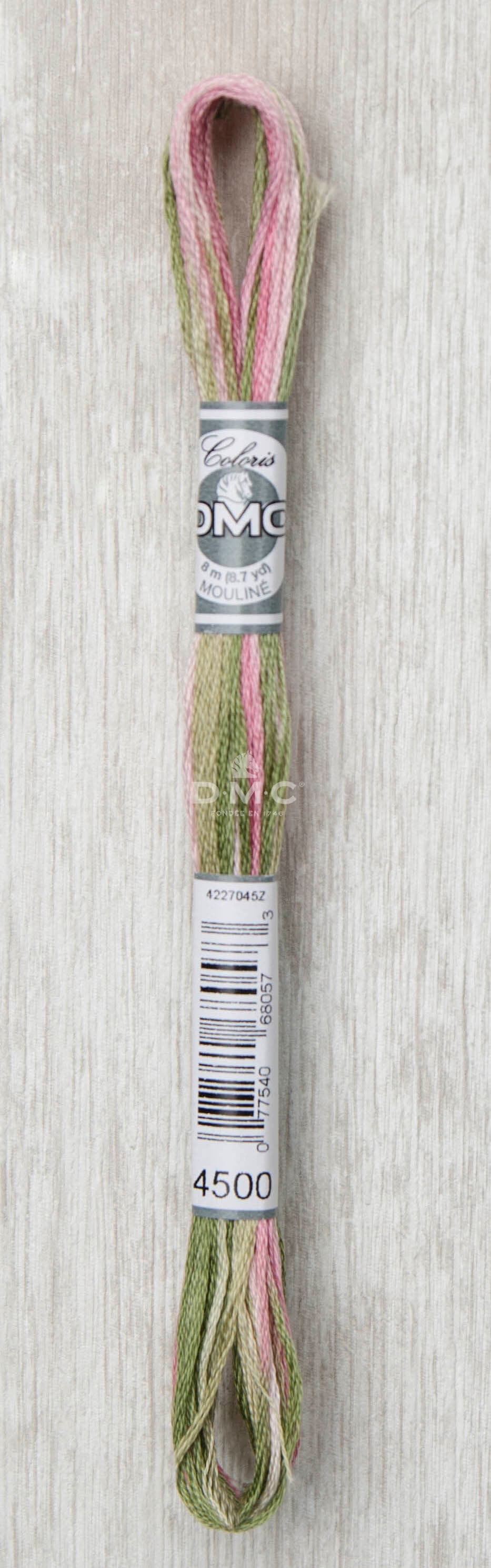 DMC Mouliné Multi Color Broderigarn Färg 4500