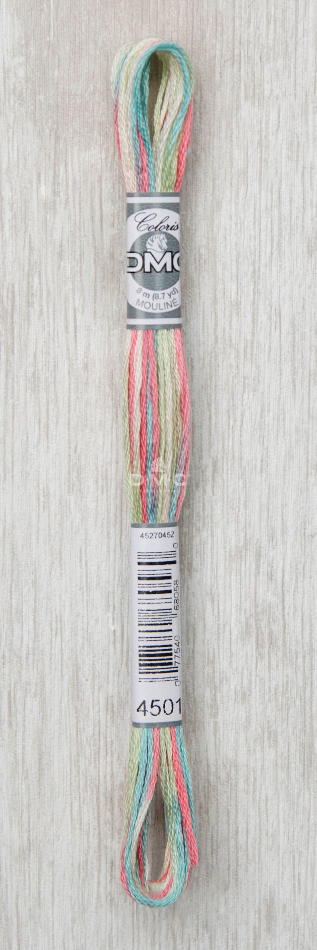 DMC Mouliné Multi Color Broderigarn Färg 4501