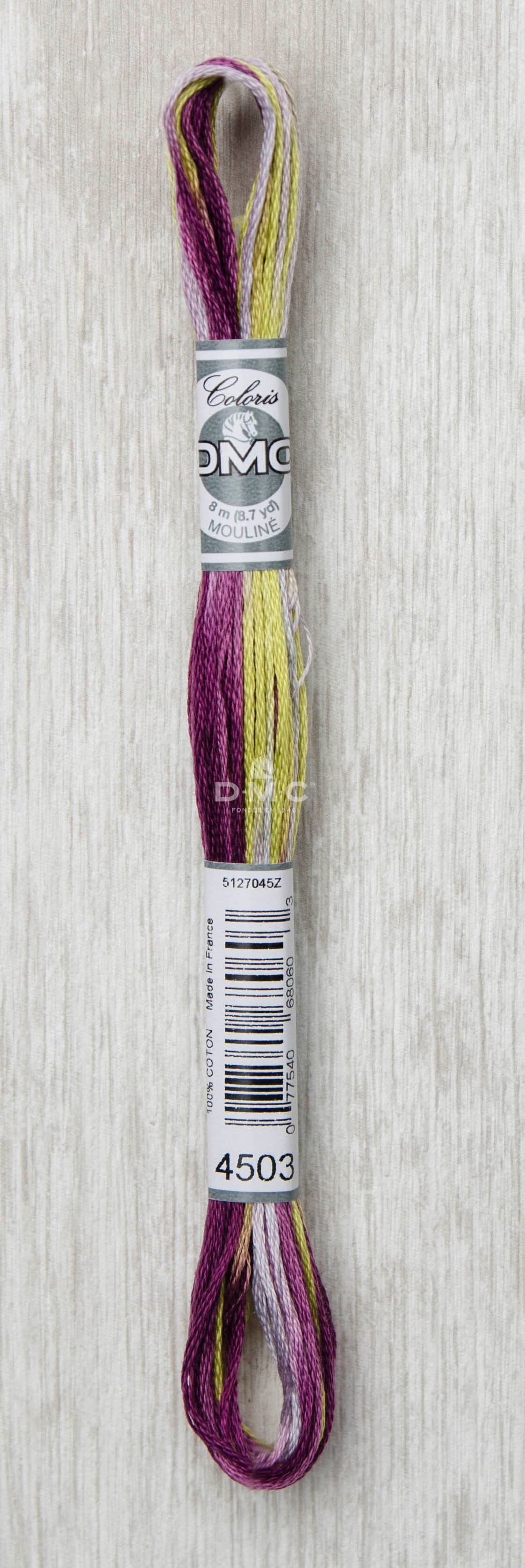 DMC Mouliné Multi Color Broderigarn Färg 4503