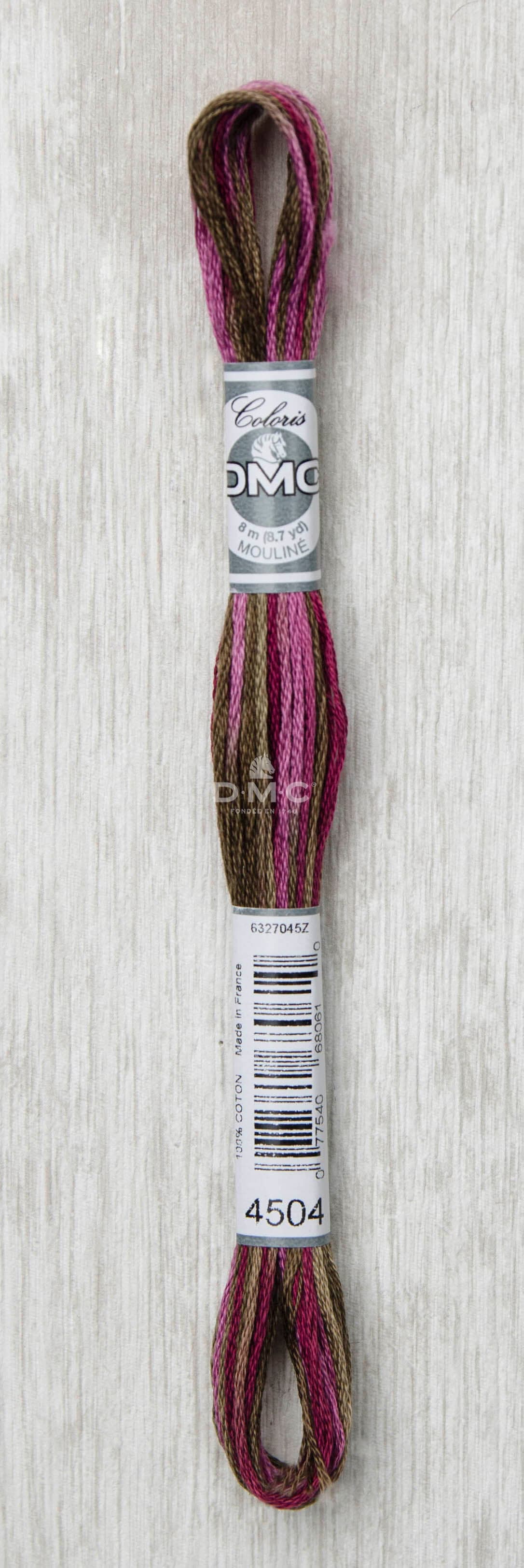 DMC Mouliné Multi Color Broderigarn Färg 4504
