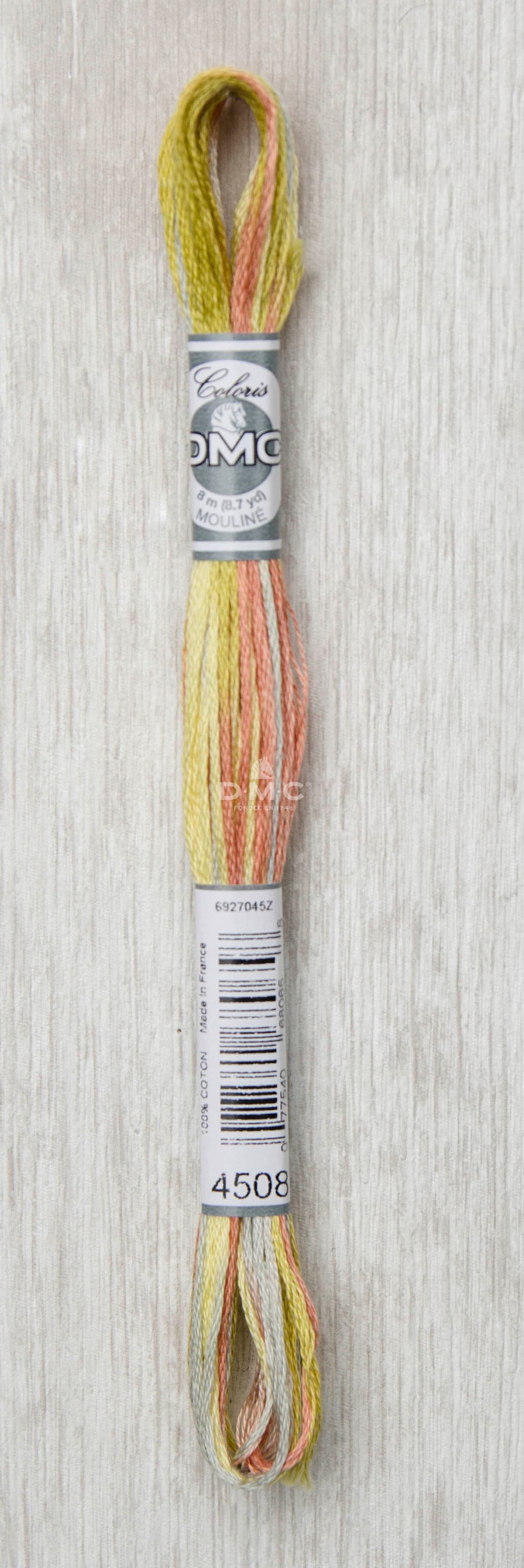DMC Mouliné Multi Color Broderigarn Färg 4508