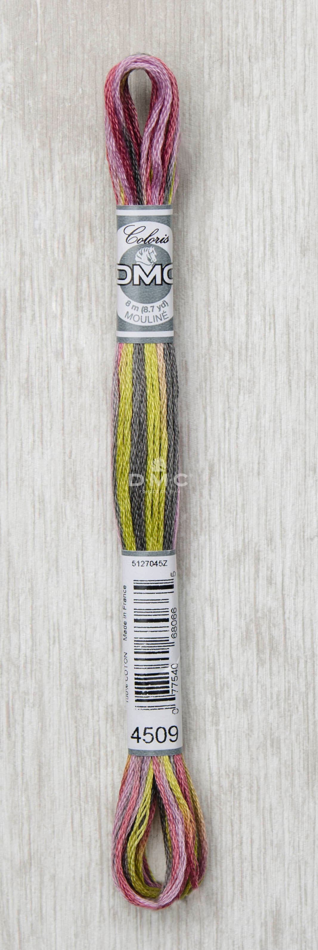 DMC Mouliné Multi Color Broderigarn Färg 4509