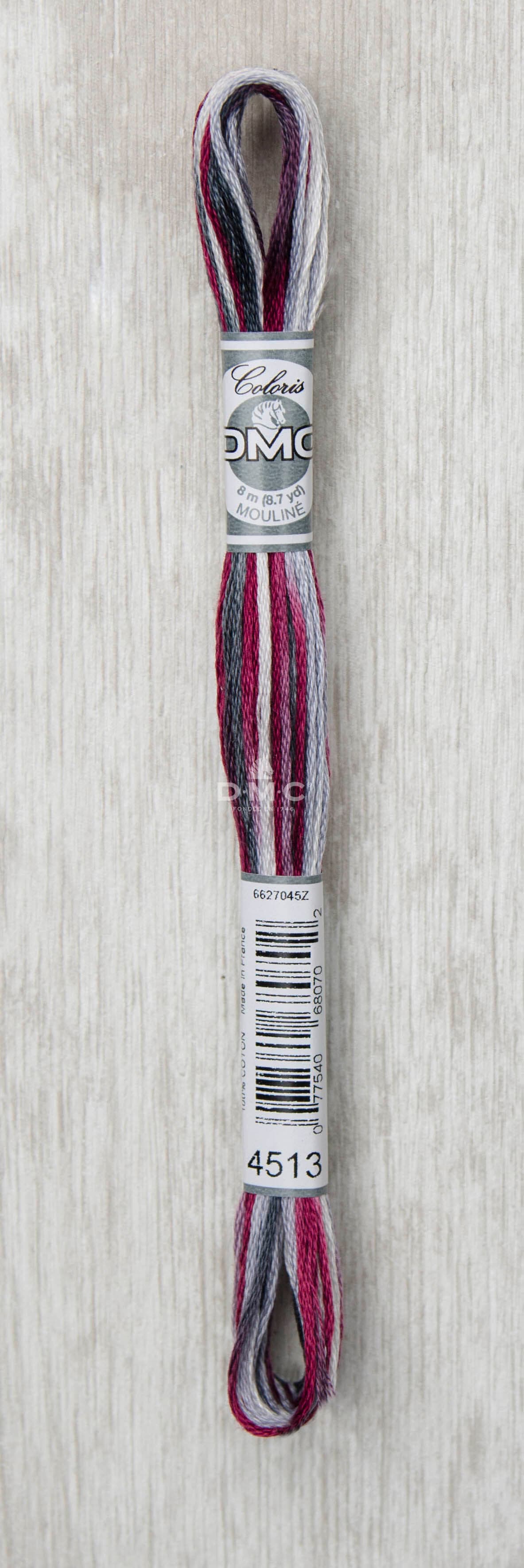 DMC Mouliné Multi Color Broderigarn Färg 4513