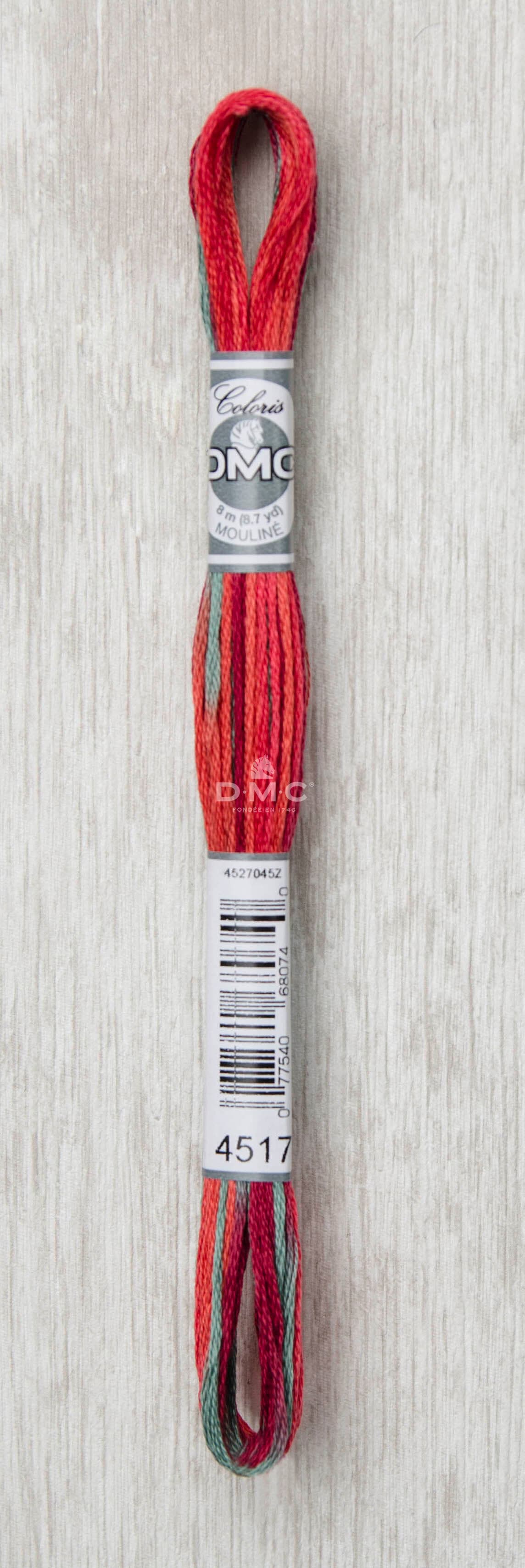 DMC Mouliné Multi Color Broderigarn Färg 4517