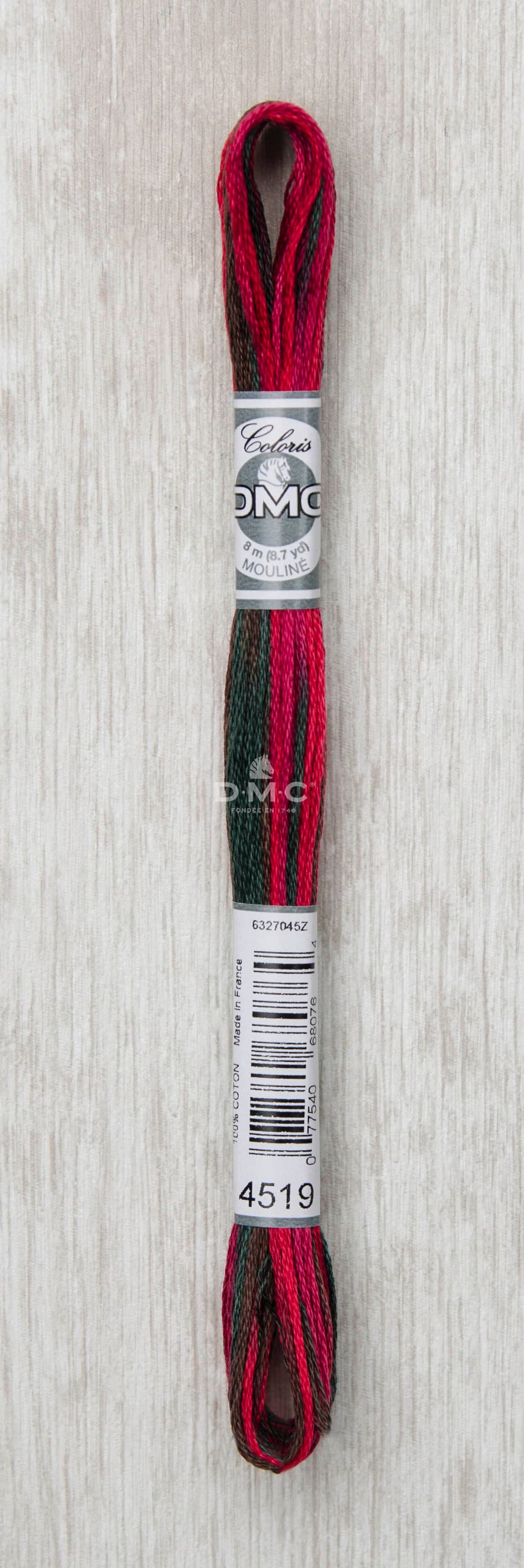 DMC Mouliné Multi Color Broderigarn Färg 4519