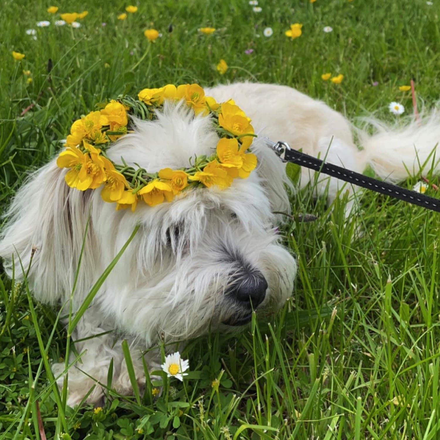 Foto på lærred 70 x 70 cm - Foto på lærred med gravering
