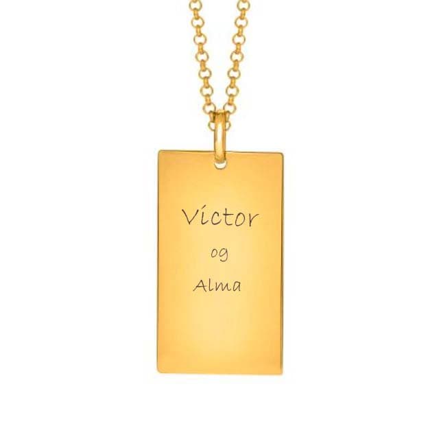 Son of Noa Dogtag blank forgyldt stål inkl. kæde - Personlige gaver til ham med gravering