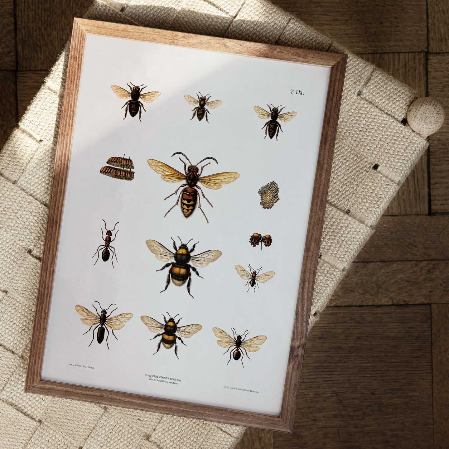 Bees av Vintage Vista Designs