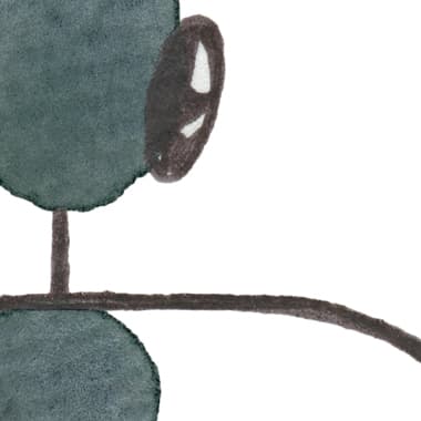 Cumatilis av Lise Søgaard