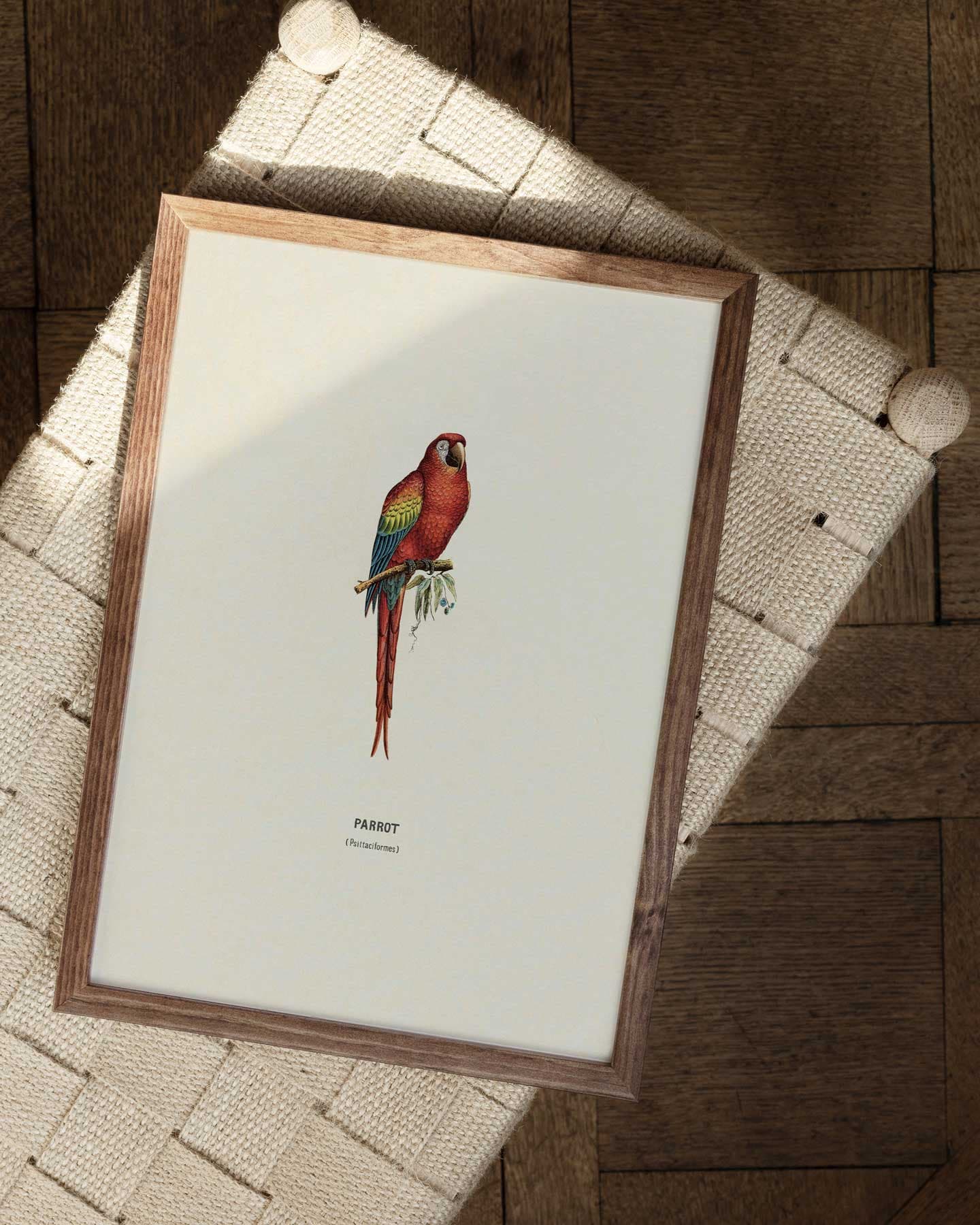Parrot av Vintage Vista Designs