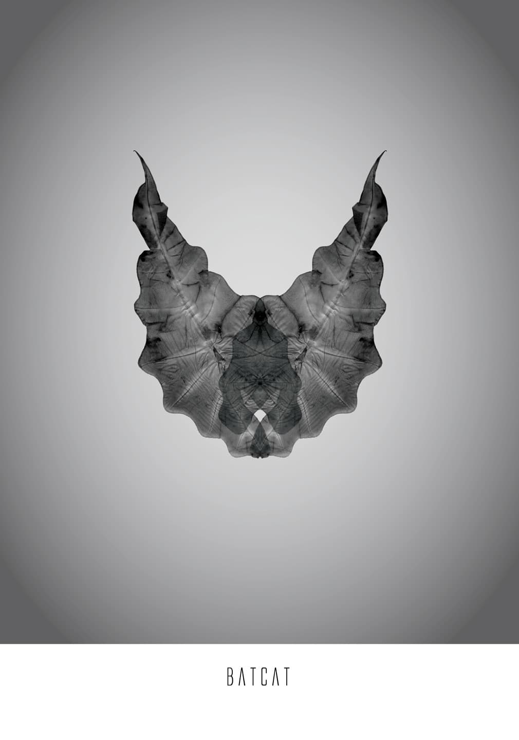 Batcat av Ten Valleys