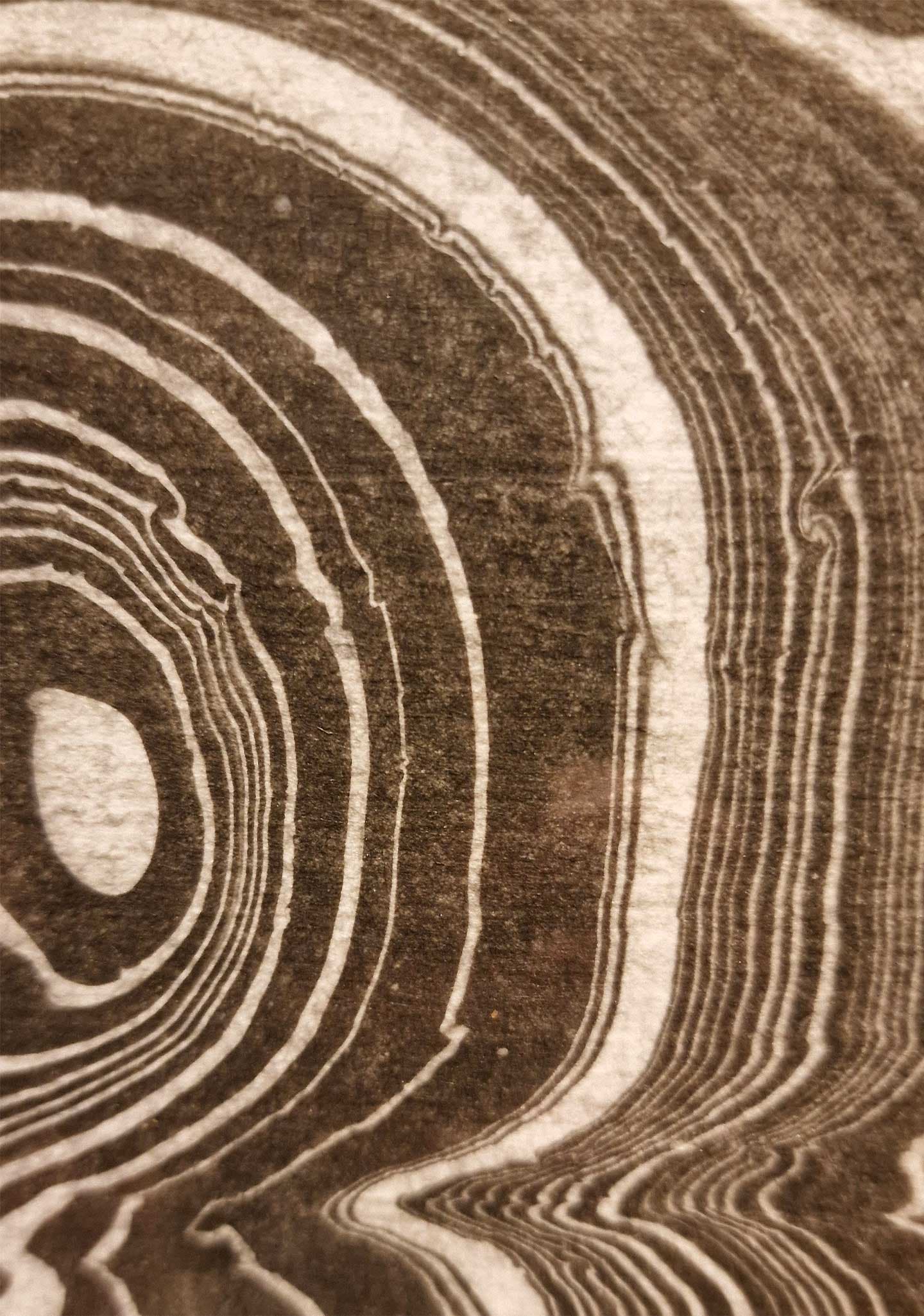 Detalje tidsårer av Cilia Sindt